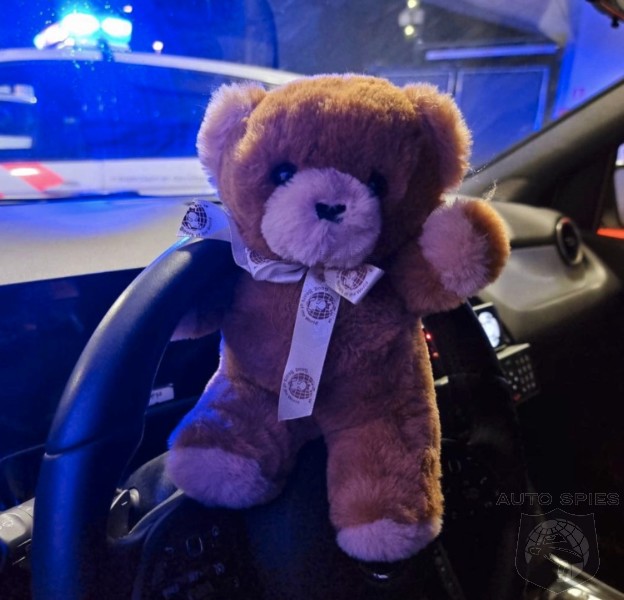 Police Called To Find Four Year Old Boy, Discover Him Driving His Mom's Car